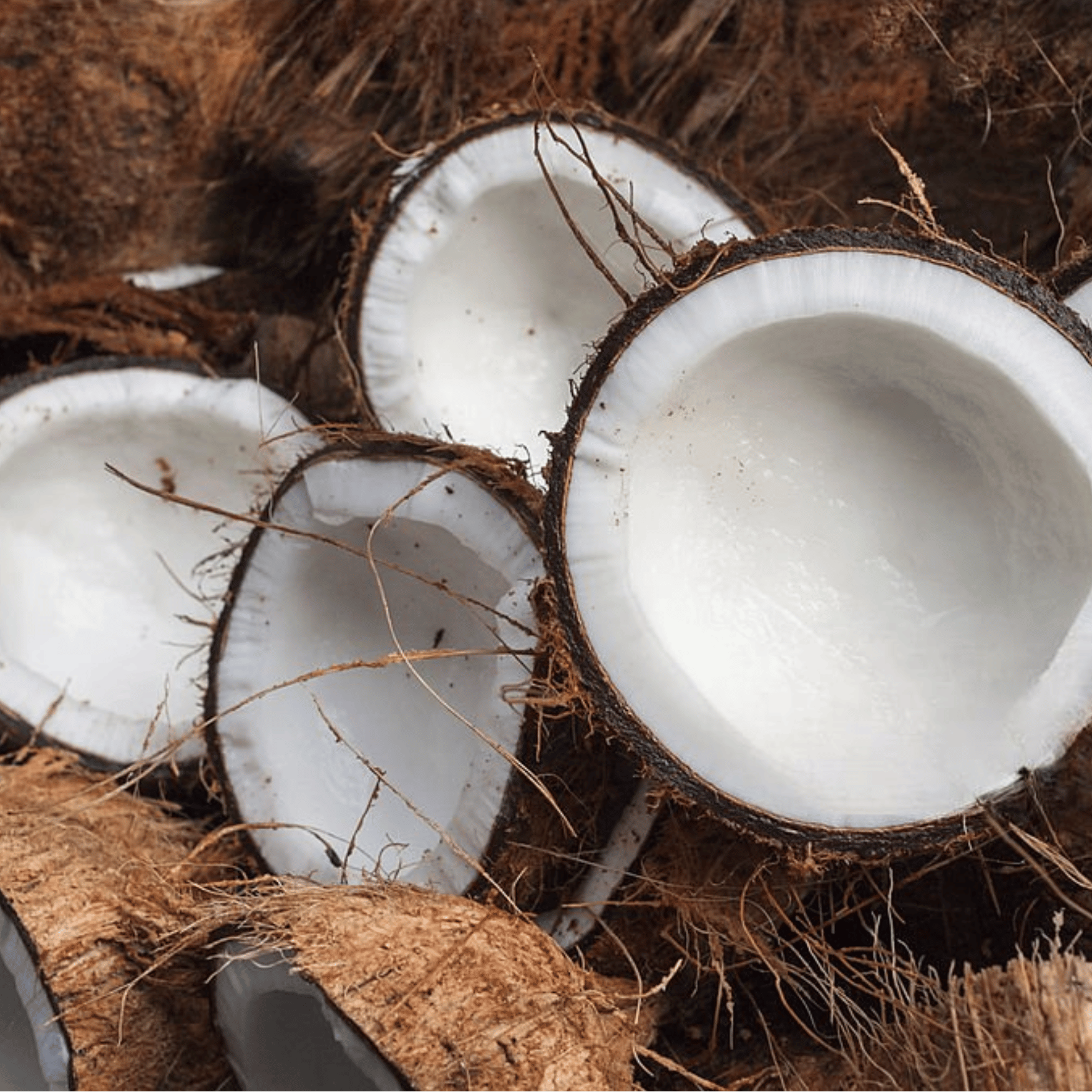 coconut texture gummies